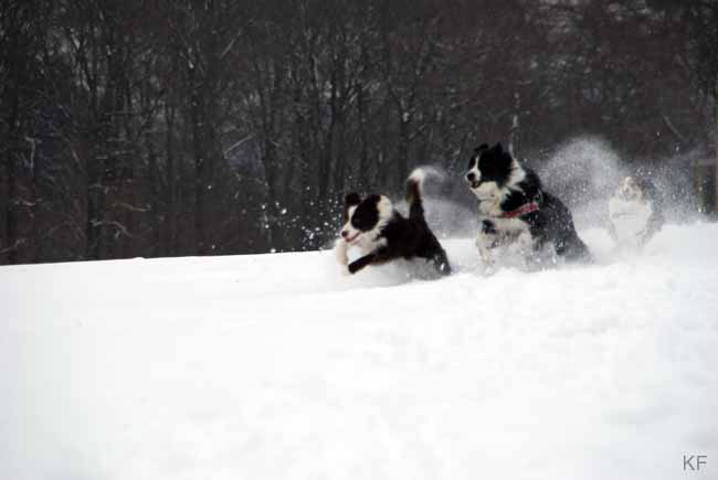 Darah_Hazel_Viva_Schnee4