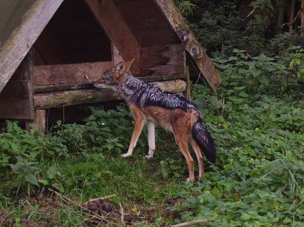 Trumler_Station_2008_16