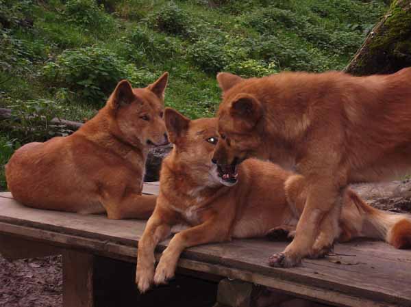 Trumler_Station_2008_22