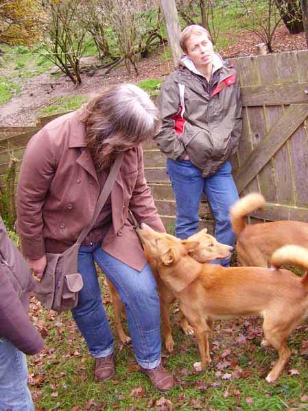 Trumler_Station_2008_31