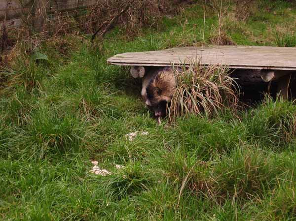 Trumler_Station_2008_34