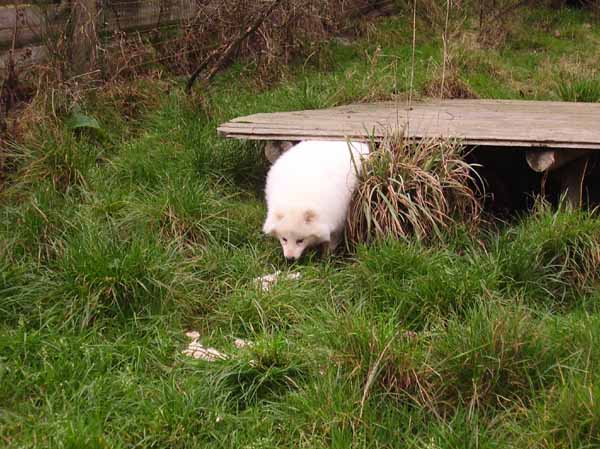 Trumler_Station_2008_35