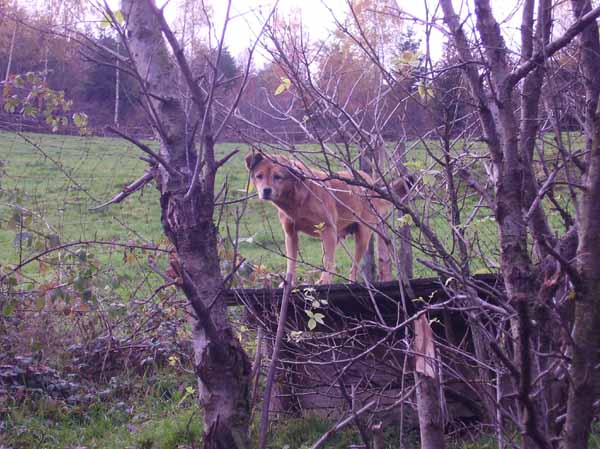 Trumler_Station_2008_38