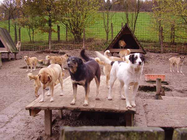 Trumler_Station_2008_41