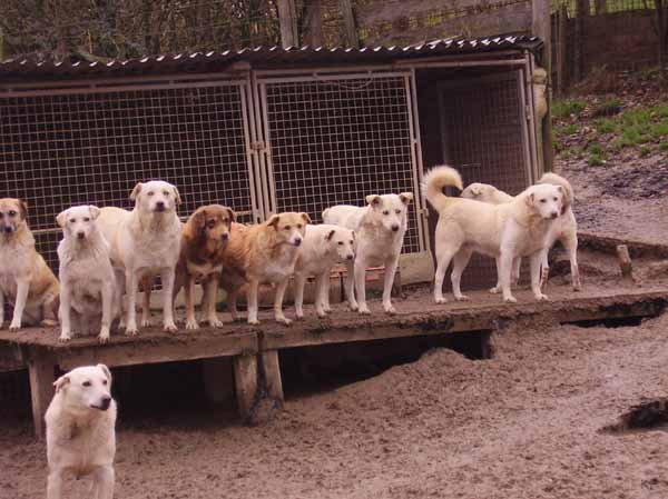 Trumler_Station_2008_44